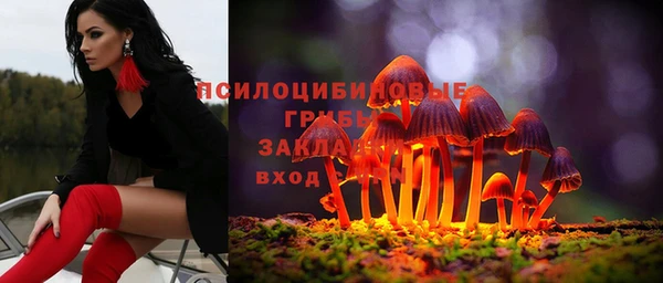 прущие крисы Каменск-Шахтинский