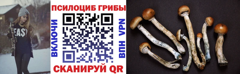 Купить закладки Мончегорск Галлюциногенные грибы прущие грибы